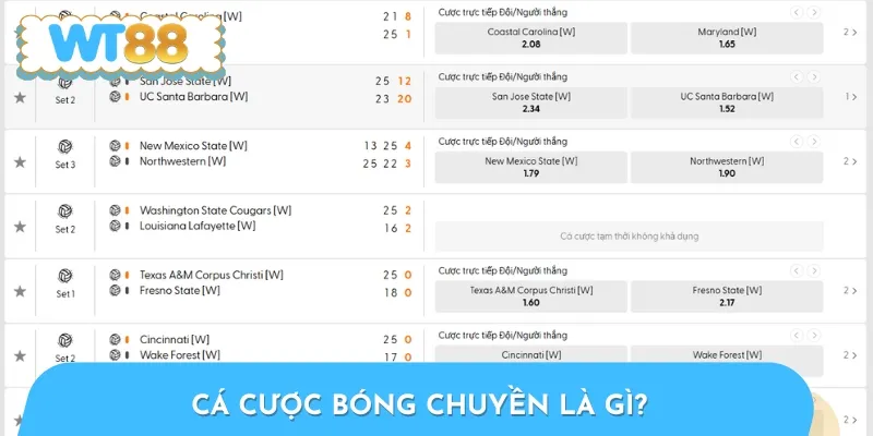 Cá cược bóng chuyển là hình thức giải trí ấn tượng, hấp dẫn
