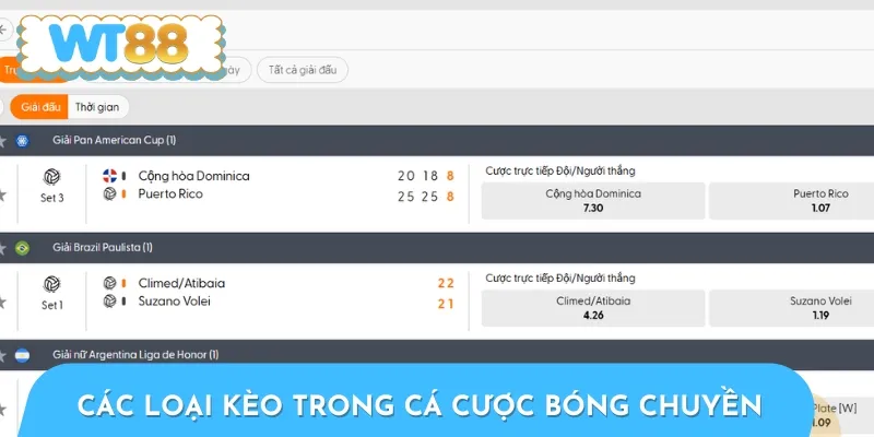 Có nhiều loại kèo phổ biến trong cược bóng chuyền