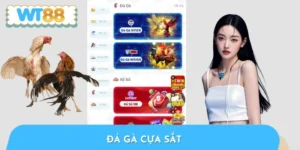 Đá Gà Cựa Sắt - Giáo Án A Đến Z Huấn Luyện Thần Kê