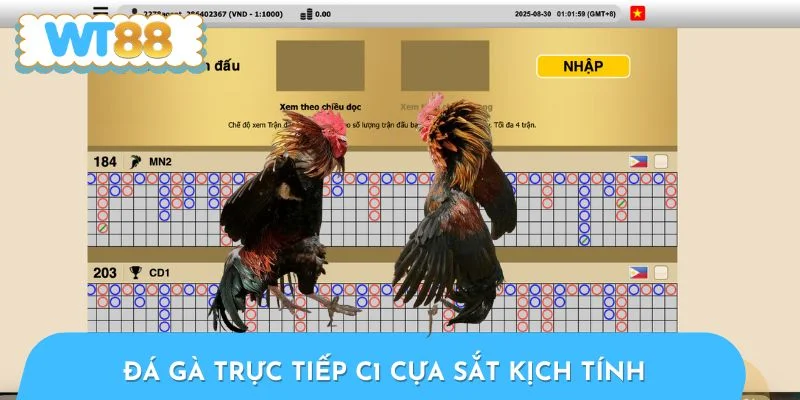 Loại hình cựa sắt kịch tính từng giây từng phút