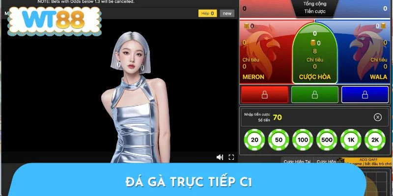 Đá Gà Trực Tiếp C1 - Sân Chơi Kịch Tính Nhất Tại Thomo